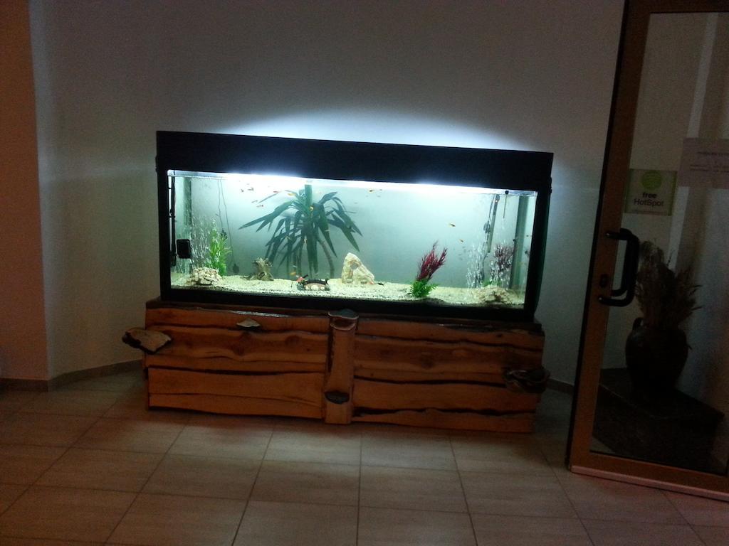Cabana Trei Brazi เปรดัล ภายนอก รูปภาพ